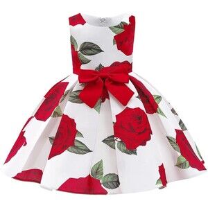 Princess Dress for Girls 6-7Y